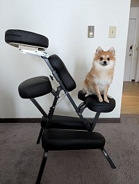Chair massage